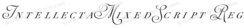 IntellectaMixedScript RegularIntell字体转换